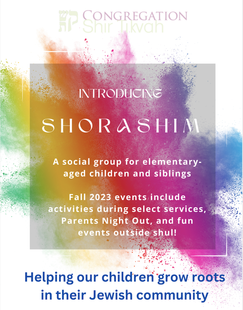 		                                		                                <span class="slider_title">
		                                    Introducing Shorashim		                                </span>
		                                		                                
		                                		                            	                            	
		                            <span class="slider_description">Families with elementary-aged children are invited to join Shorashim, a social group for elementary-aged children and siblings. Email info@shirtikvah.org for details!</span>
		                            		                            		                            